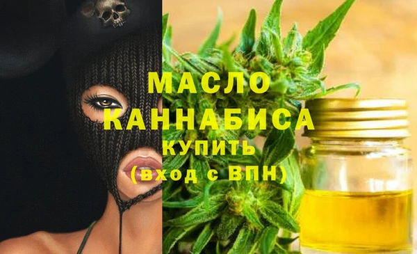 гидра Туринск