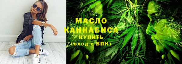 гидра Туринск