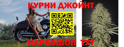 сатива Новодвинск