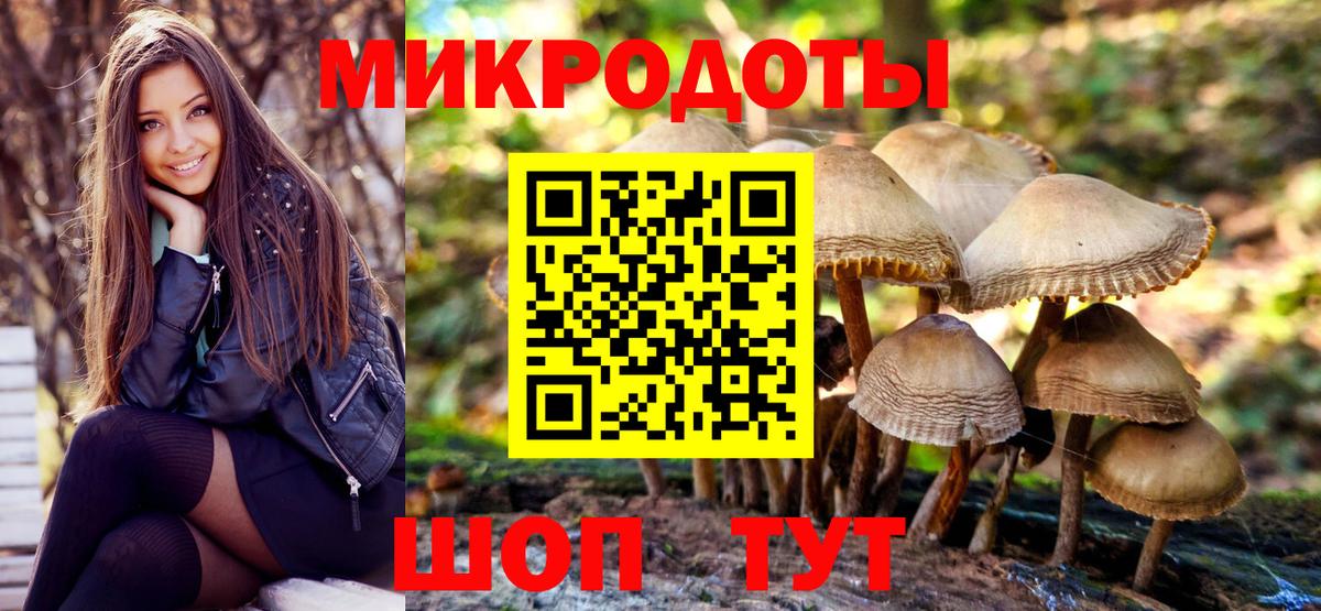 Галлюциногенные грибы Magic Shrooms Северобайкальск